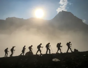 Silhouetted guests walking up hillside, sun behind them.
