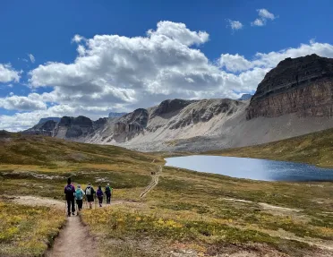 Group of guests walking among golden meadow trail, large hills in distance.