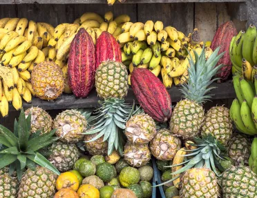 Farm Stand Fruit Columbia