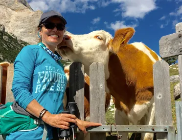 Guest at farm, cow licking her cheek.
