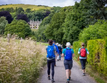 Walking Hedges England