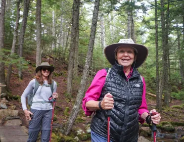 Two guests hiking over thin forest bridge.