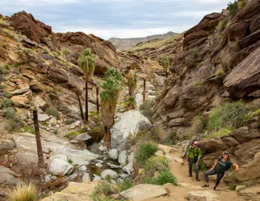 Two guests in desert valley, small stream running beside them.
