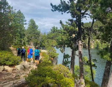 Four guests on riverside trail, trees all around.
