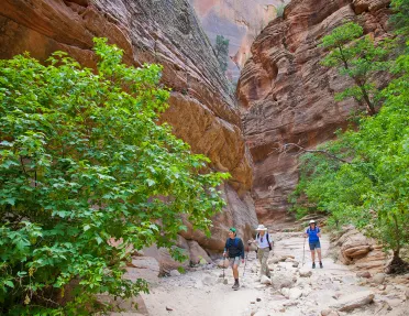 Guests walking through slot canyon
