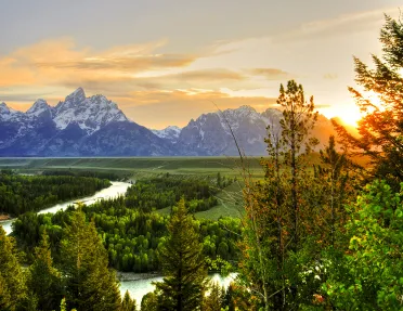 Vibrant green trees and picturesque mountains