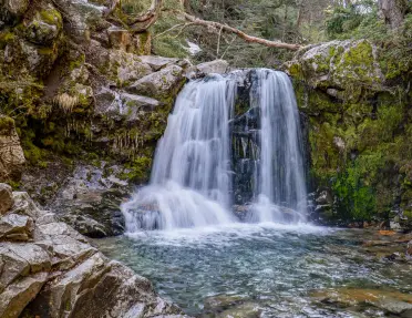 Active waterfall in the middle of a forest