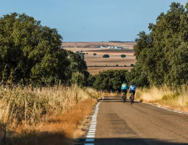 Two people biking on an asphalt road with an open valley in the distance