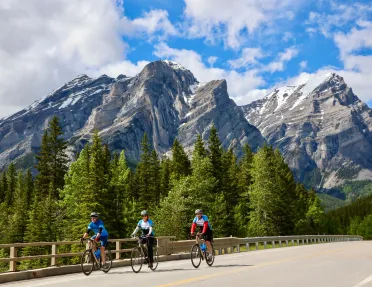 Three people riding bikes on an asphalt road, with tall pine trees and snowy mountains in the background