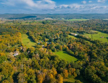 Open valley with large trees and patches of green grass