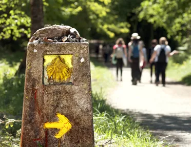 Sign for the camino