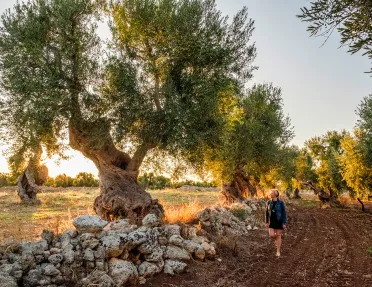 Woman walking on a dirt road looking at a large tree