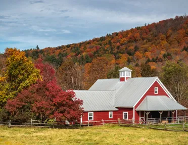 Red cabin-style building with a white roof in the middle of a valley of orange trees