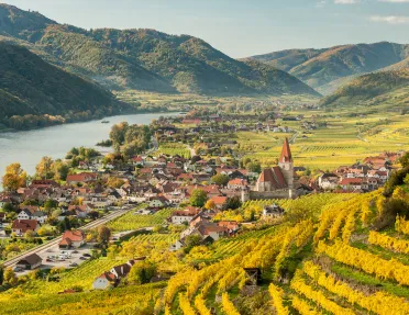 Hillside field overlooking a small town