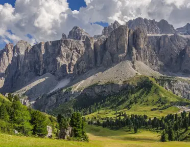 Grey mountains surrounded by greenery