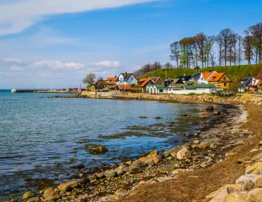 Houses along a beach