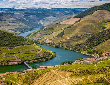 Top view of grassy fields with a river through the area