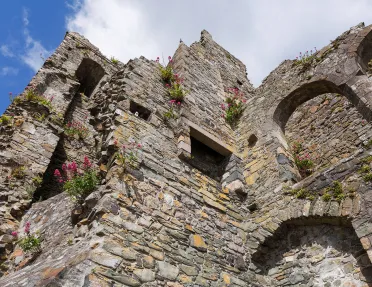 Bottom-top view of a stone building with plants and weeds coming out from the cracks