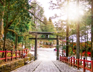 Red fence lines a path
