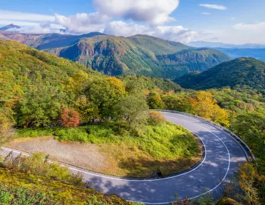 winding road through forested mountains