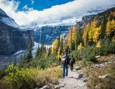 Two hikers descending down a gravel trail towards trees and mountains