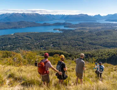 Group of people hiking down a hill full of tall weeds