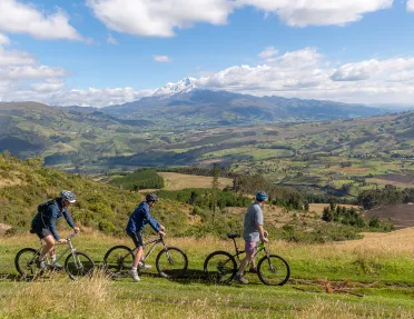 Bikers cycling through a grassy field