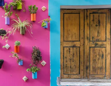 Pink and blue building with a wooden door on the right, and plants on the left
