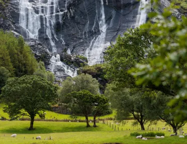 Open field full of sheep, with a large black and white cliff in the background