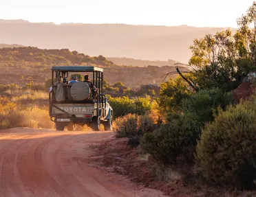 A jeep drives down a dusty road