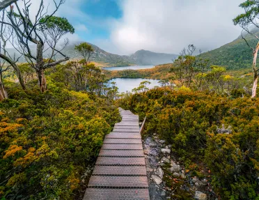 Wooden pathway leading to a lake