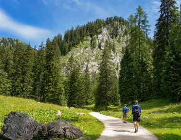 hikers on a forest path