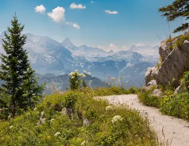 a hiking path winds through meadows