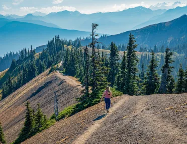 Woman walking on a dirt path on top of a hill, walking towards pine trees
