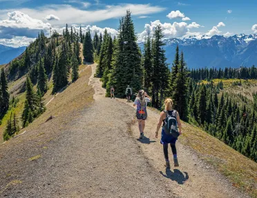 Four people with distance between them walking towards the peak of a hill