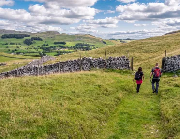 hikers walking through grasslands