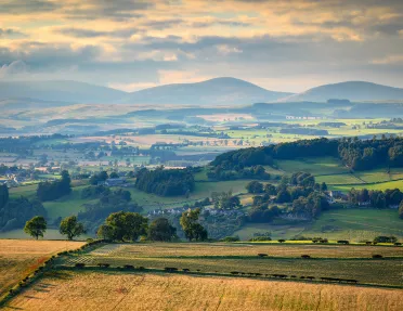 Farmland surrounded by trees