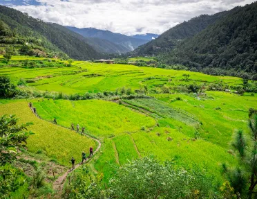 Open grass valley with a group of hikers walking one a dirt path