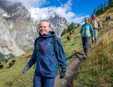 Man hiking down a dirt path, with a large mountain and cows on a grass field in the background