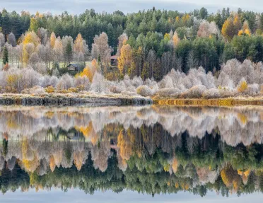 Lake surrounded by gray and orange trees with the reflection on the water