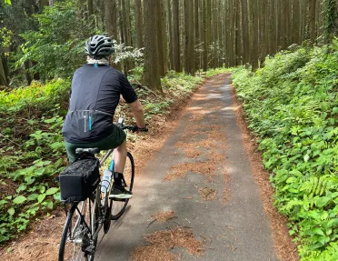 Man riding a bike on a road in a forest