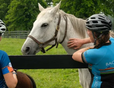 Woman smiling while petting a horse in a field