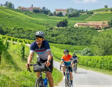 Three people riding bikes on a road with large crop fields in the background
