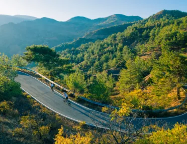 Group of people biking on an empty road with a forest in the background