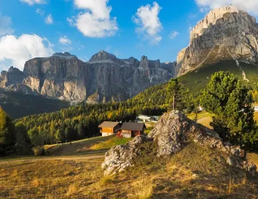 Grassy hill with a house and a forest and mountains in the background
