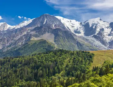 Snow-capped mountain with tall trees in the valley