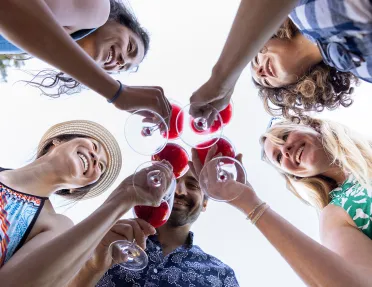 Group of people clinking their glasses of wine