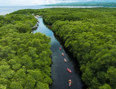Row of orange kayaks in a river, surrounded by thick jungle