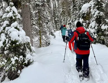 Group of people snowshoeing in the middle of a snowy forest