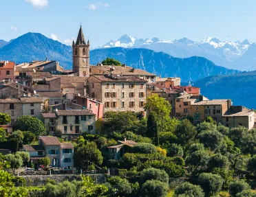 Rustic, European town buildings surrounded by tall trees